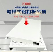 选用拉丝和阳极氧化概况处置具有进口的出产设